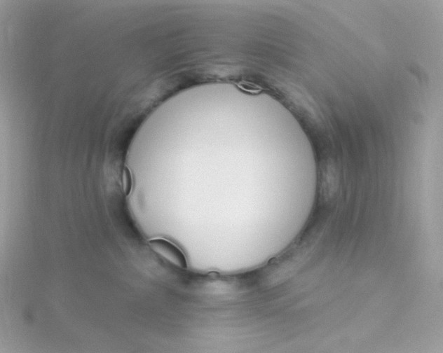 X0000115710236200911251902