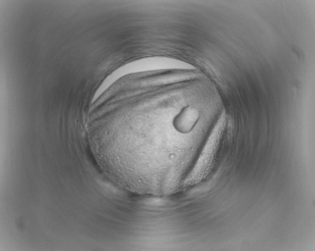 X0000115710237200911251902