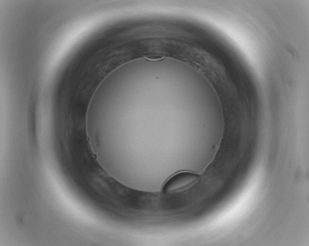 X0000115710239200911251902