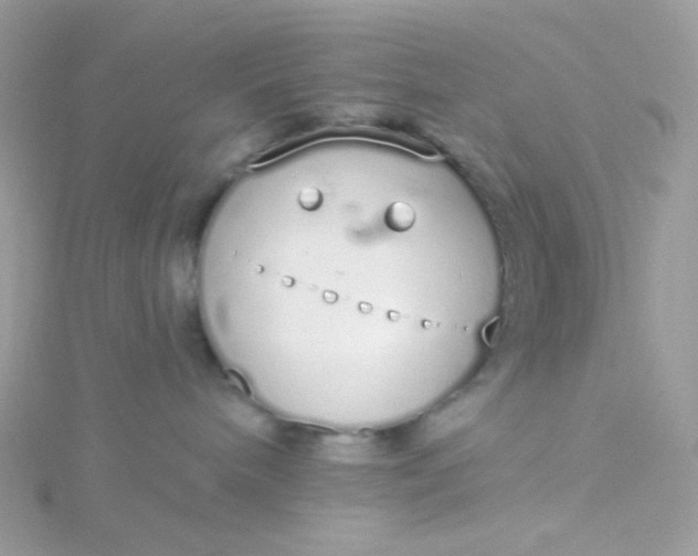 X0000115710240200911251902