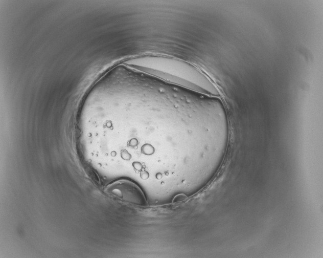 X0000115710241200911251902