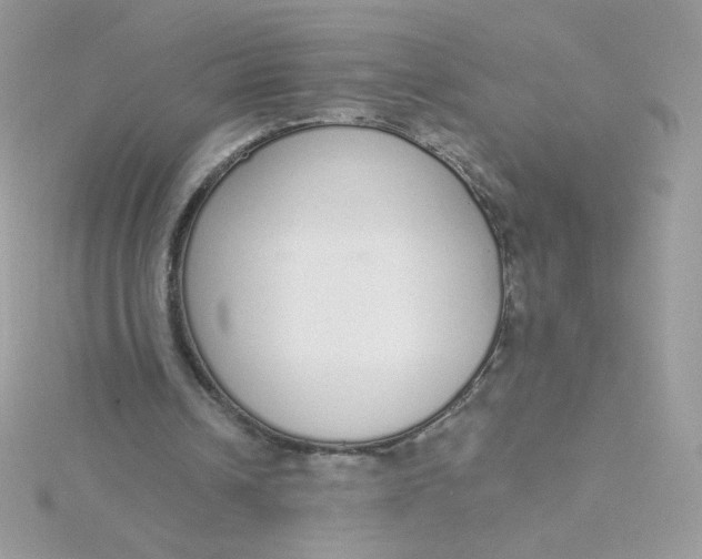 X0000115710242200911251902