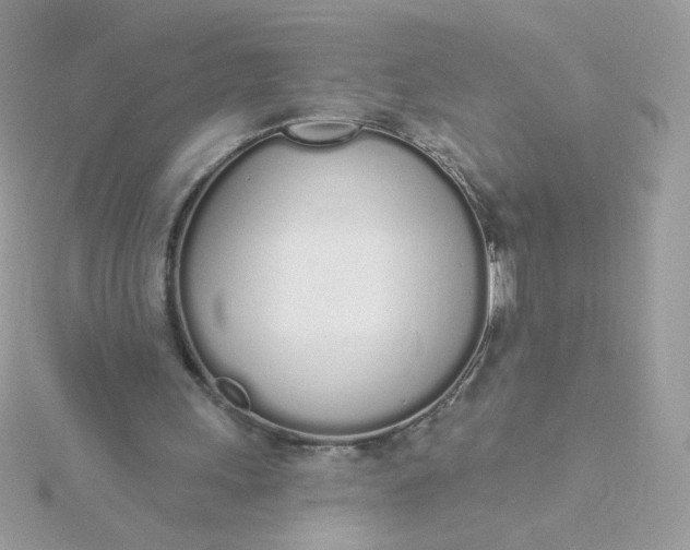 X0000115710243200911251902