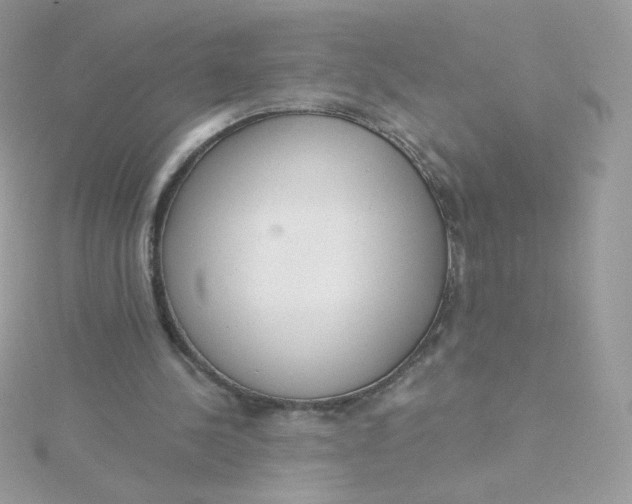 X0000115710244200911251902