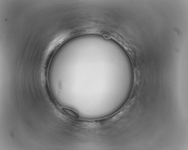 X0000115710245200911251902