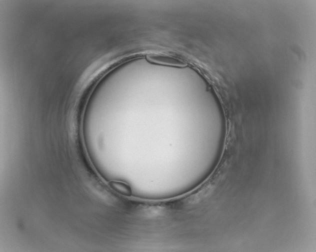 X0000115710247200911251902