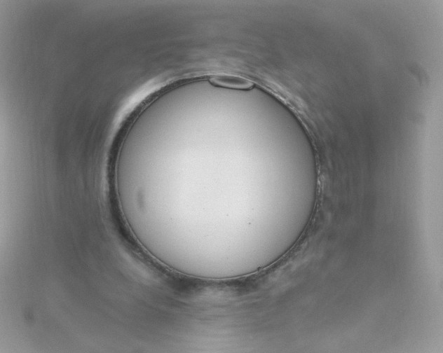 X0000115710248200911251902