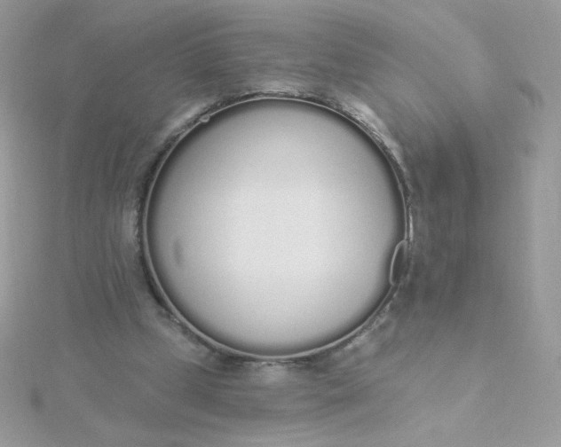 X0000115710249200911251902