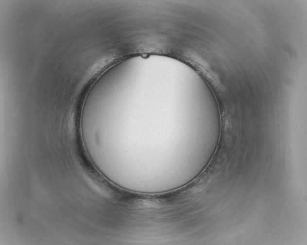 X0000115710250200911251902