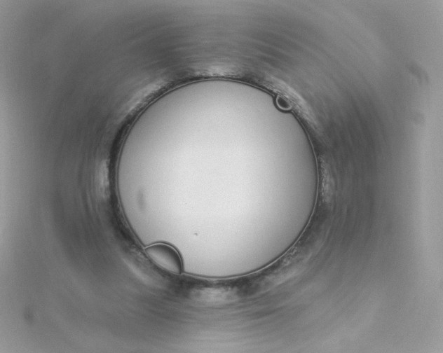 X0000115710251200911251902