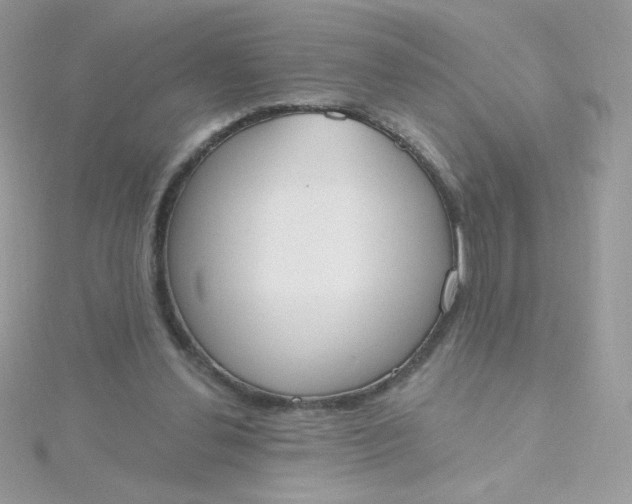 X0000115710252200911251902