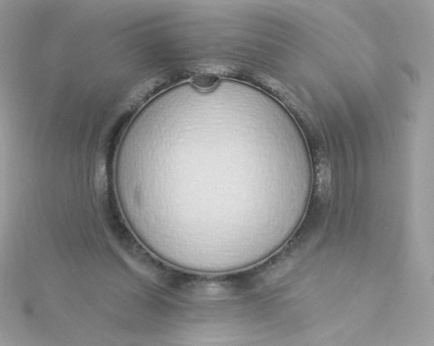 X0000115710254200911251902