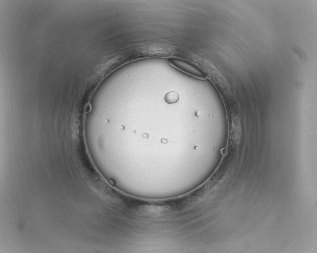 X0000115710255200911251902