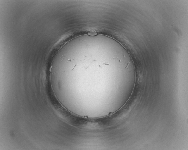 X0000115710256200911251902