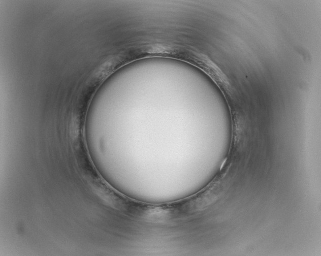 X0000115710257200911251902