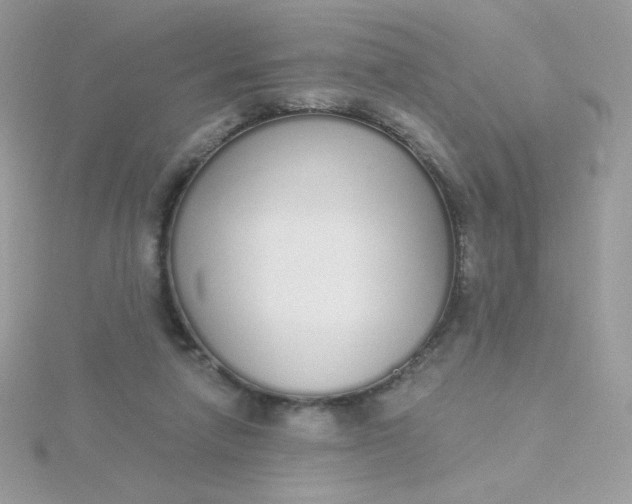 X0000115710258200911251902