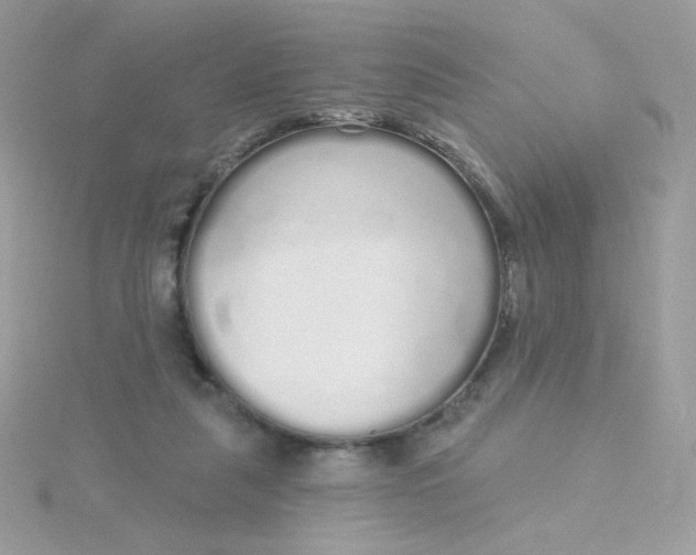 X0000115710259200911251902