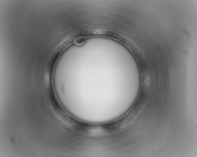 X0000115710262200911251902