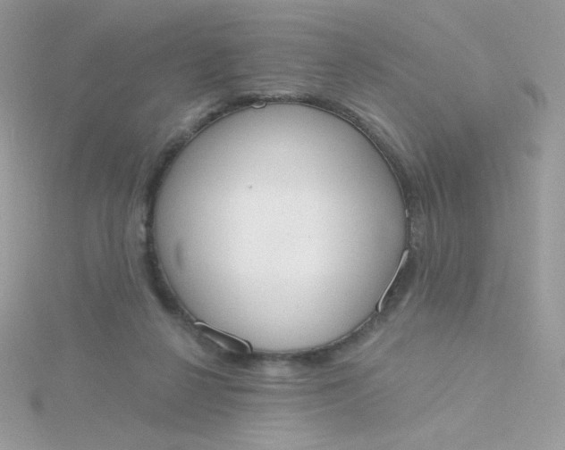 X0000115710264200911251902