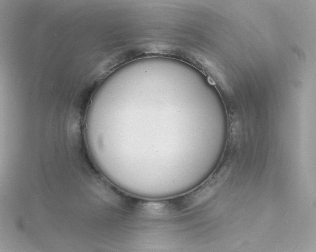 X0000115710265200911251902