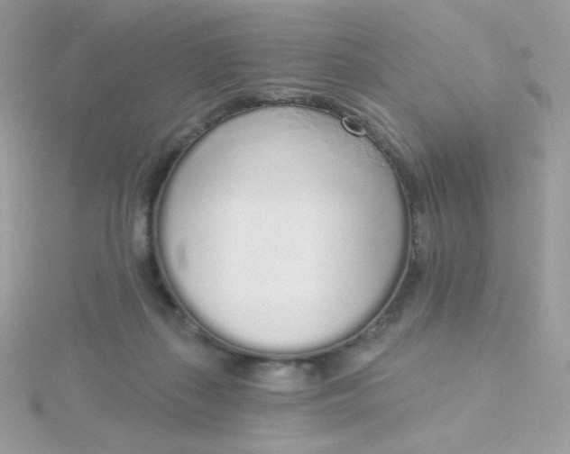 X0000115710267200911251902