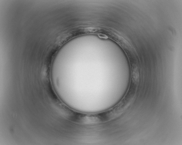 X0000115710270200911251902