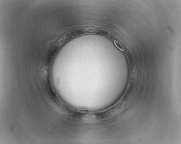 X0000115710271200911251902