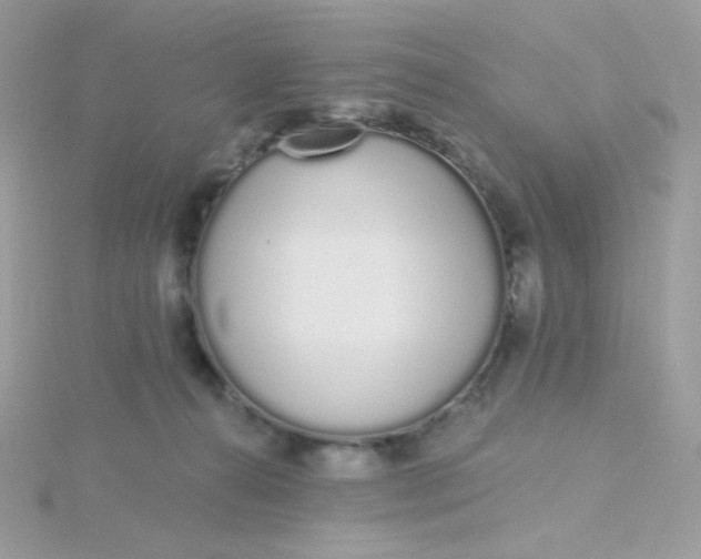 X0000115710272200911251902