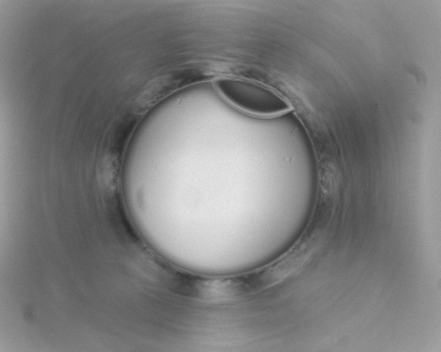 X0000115710273200911251902