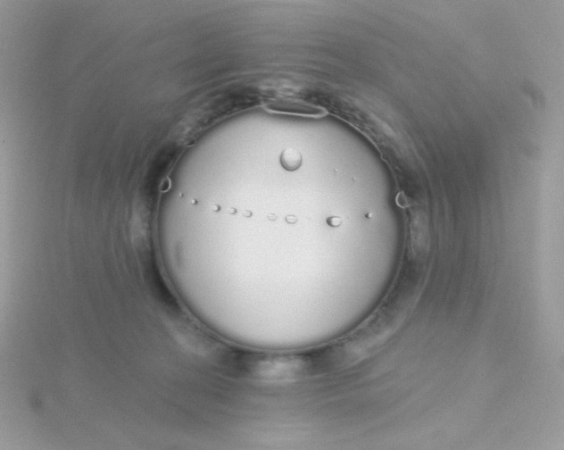 X0000115710274200911251902