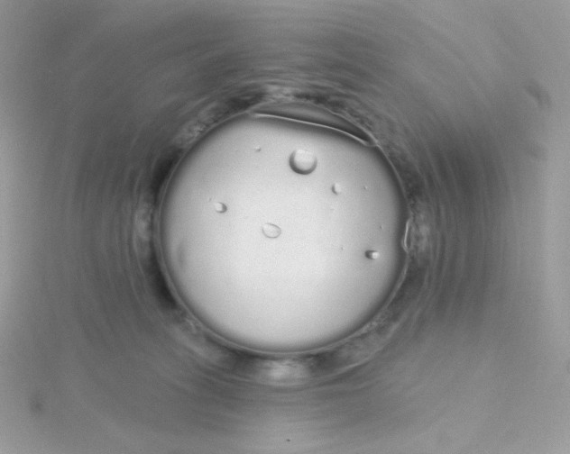 X0000115710275200911251902