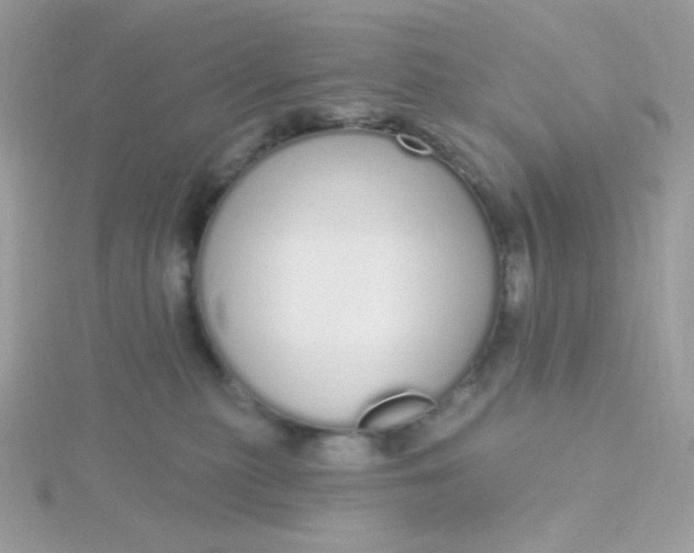 X0000115710279200911251902