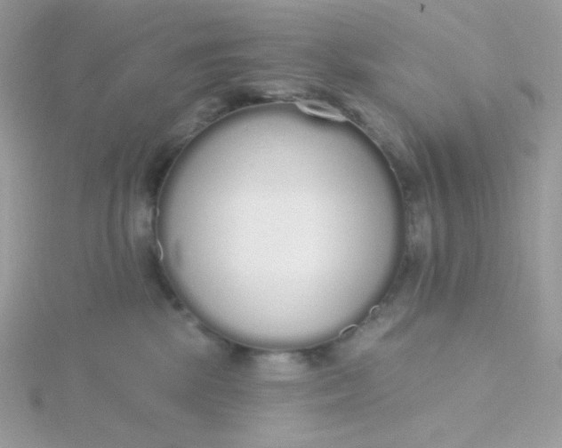 X0000115710281200911251902