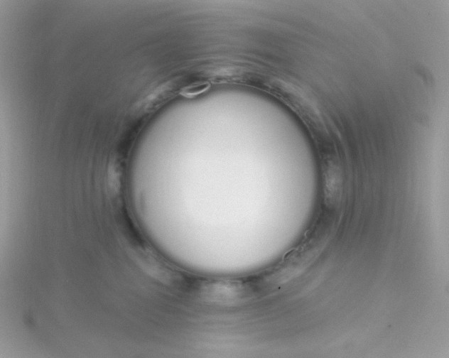 X0000115710282200911251902