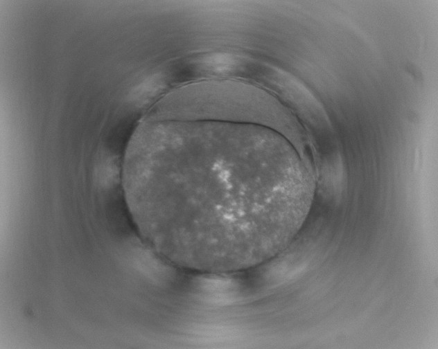 X0000115710284200911251902