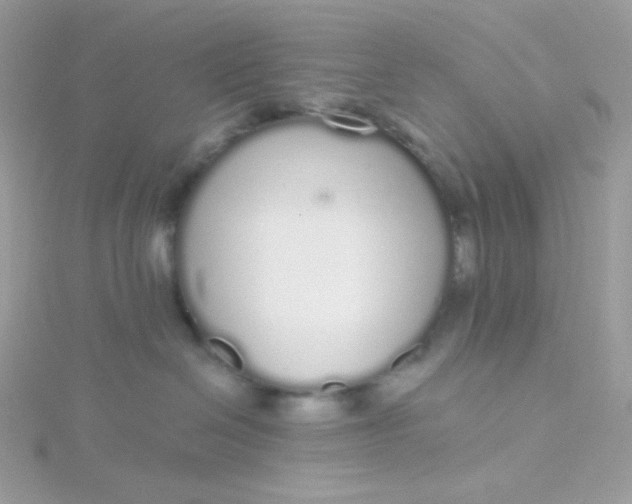 X0000115710286200911251902