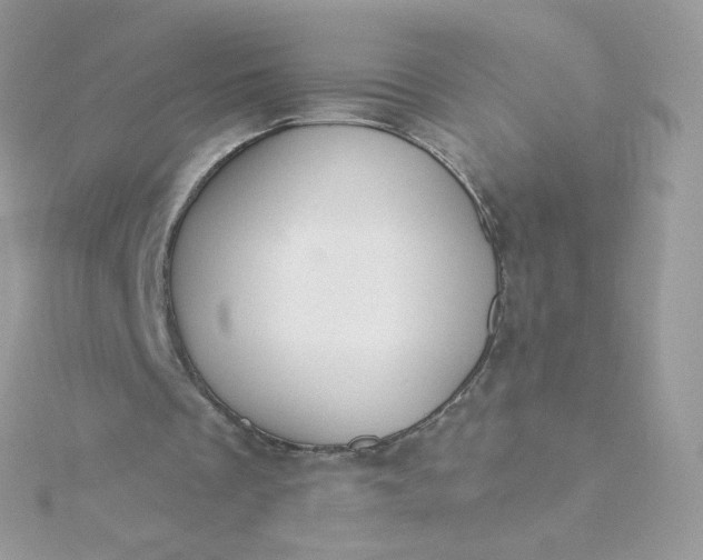 X0000115710289200911251902