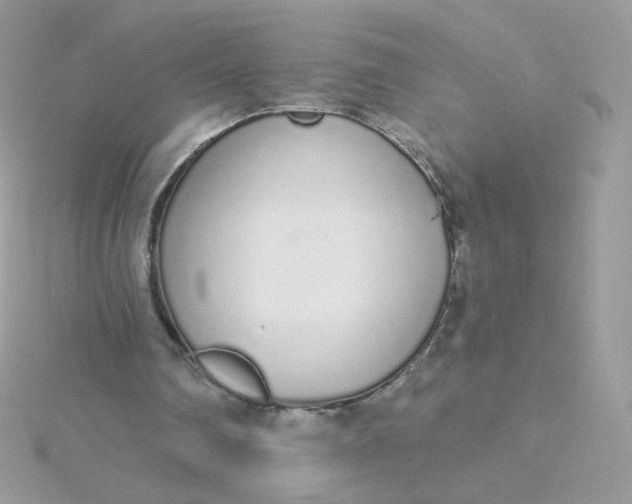 X0000115710290200911251902