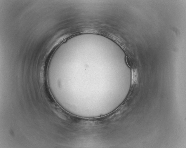 X0000115710291200911251902