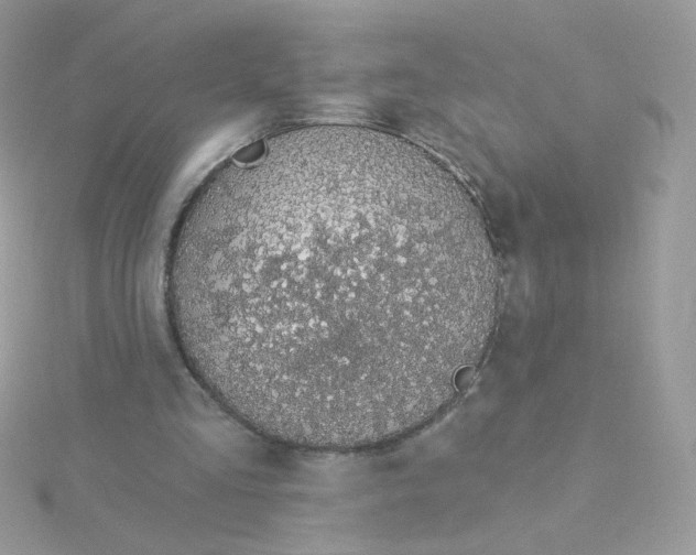 X0000115710293200911251902