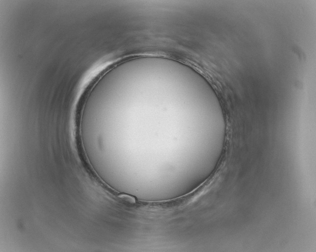 X0000115710294200911251902