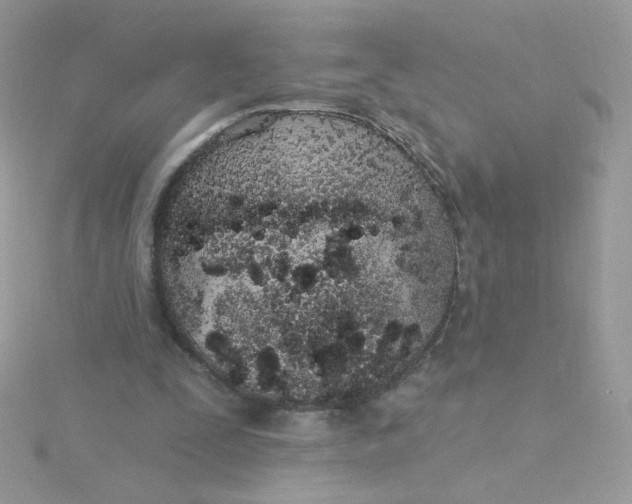 X0000115710295200911251902