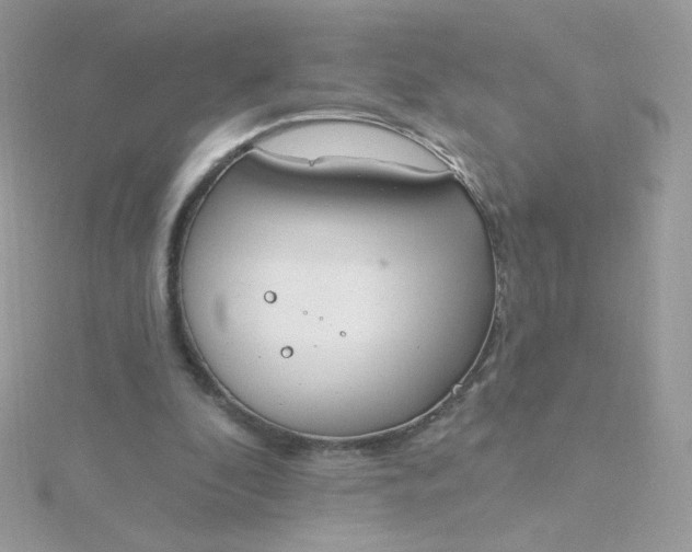 X0000115710296200911251902