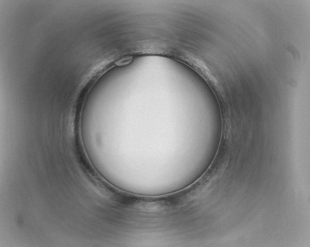 X0000115710299200911251902