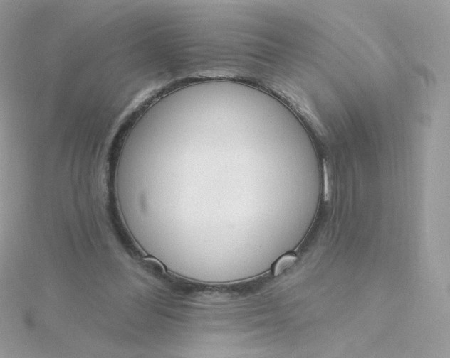 X0000115710300200911251902