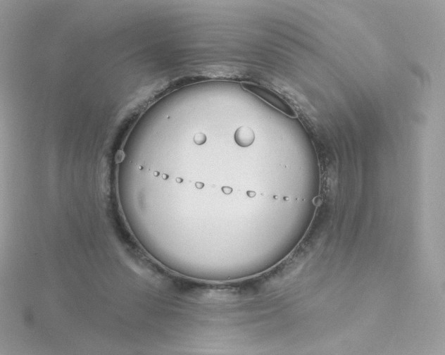 X0000115710303200911251902