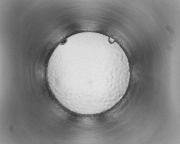 X0000115710305200911251901