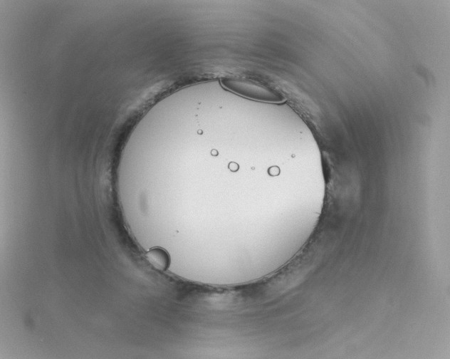 X0000115710306200911251901