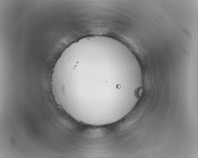 X0000115710307200911251901