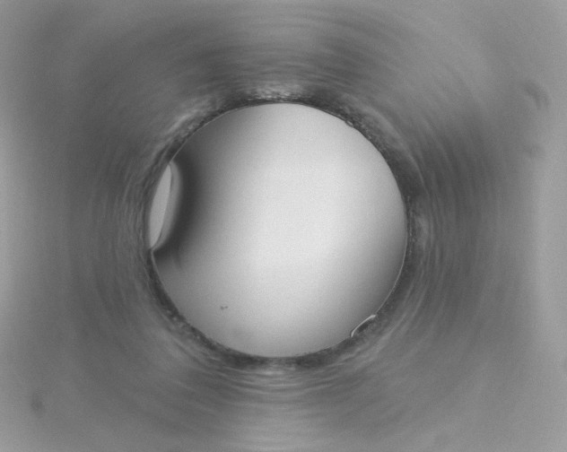 X0000115710308200911251901